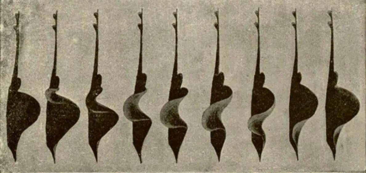Banner for Sequential pattern like Neural Networks